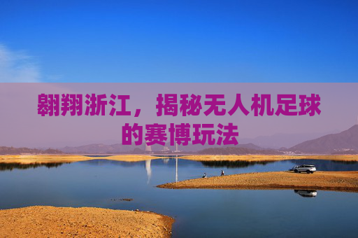 翱翔浙江,揭秘无人机足球的赛博玩法