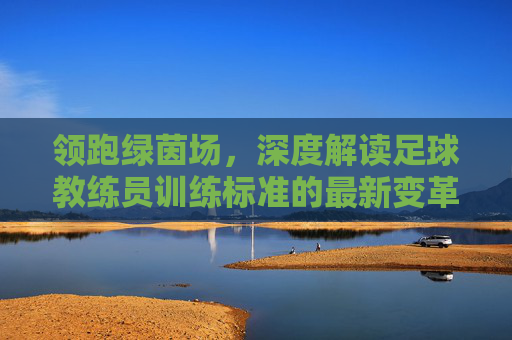 领跑绿茵场,深度解读足球教练员训练标准的最新变革与未来趋势