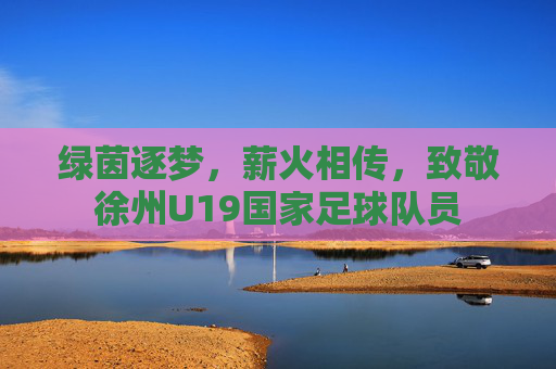 绿茵逐梦,薪火相传,致敬徐州U19国家足球队员
