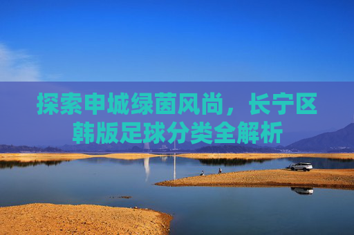 探索申城绿茵风尚,长宁区韩版足球分类全解析