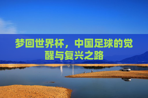 梦回世界杯,中国足球的觉醒与复兴之路