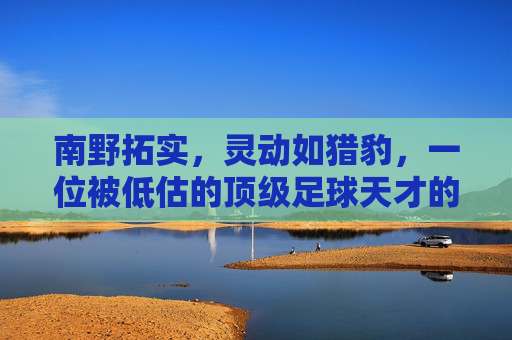南野拓实,灵动如猎豹,一位被低估的顶级足球天才的进阶之路
