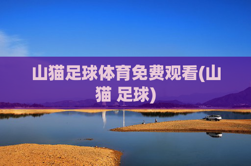 山猫足球体育免费观看(山猫 足球)