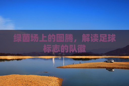绿茵场上的图腾,解读足球标志的队徽