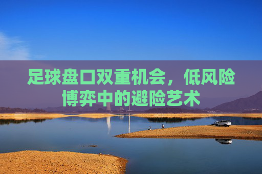足球盘口双重机会，低风险博弈中的避险艺术
