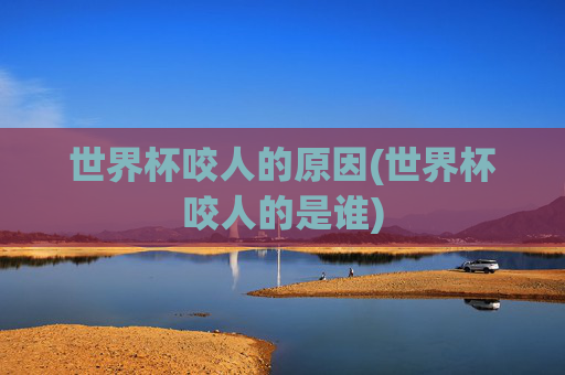 世界杯咬人的原因(世界杯咬人的是谁)
