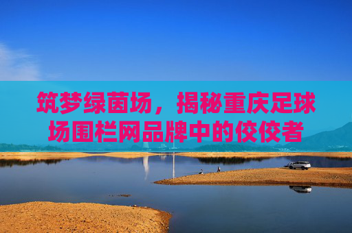 筑梦绿茵场,揭秘重庆足球场围栏网品牌中的佼佼者