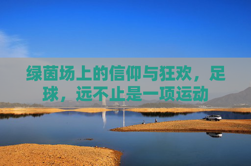 绿茵场上的信仰与狂欢,足球,远不止是一项运动