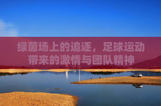绿茵场上的追逐,足球运动带来的激情与团队精神