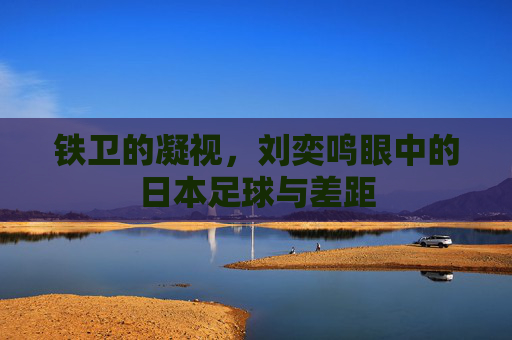 铁卫的凝视,刘奕鸣眼中的日本足球与差距