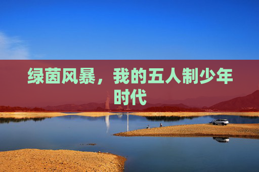 绿茵风暴,我的五人制少年时代