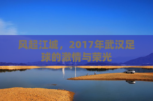 风起江城,2017年武汉足球的激情与荣光