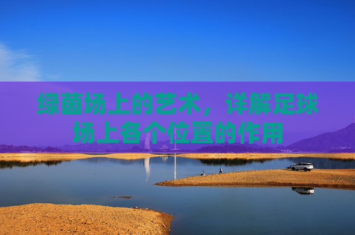 绿茵场上的艺术,详解足球场上各个位置的作用