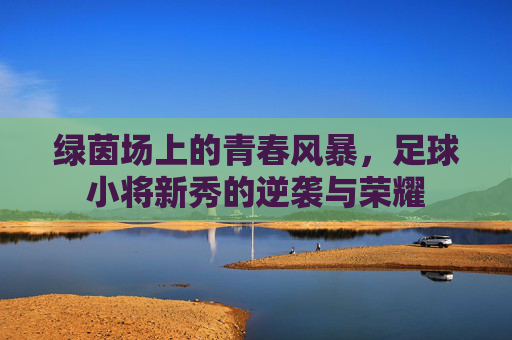 绿茵场上的青春风暴,足球小将新秀的逆袭与荣耀