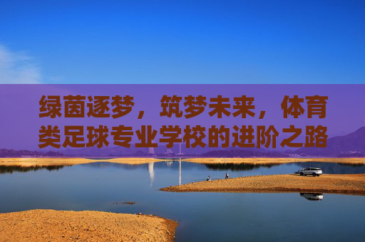绿茵逐梦,筑梦未来,体育类足球专业学校的进阶之路