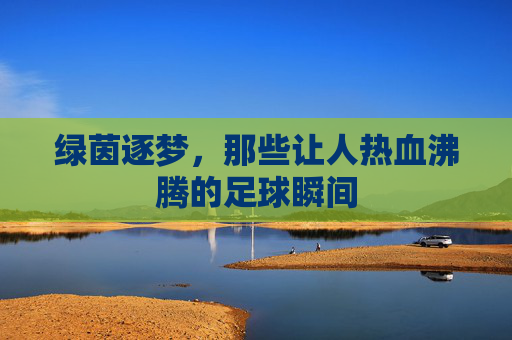 绿茵逐梦,那些让人热血沸腾的足球瞬间