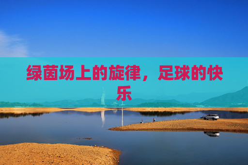 绿茵场上的旋律,足球的快乐
