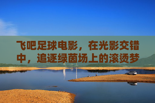 飞吧足球电影,在光影交错中,追逐绿茵场上的滚烫梦想