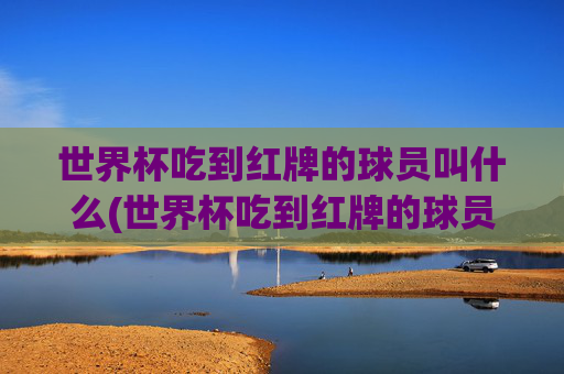 世界杯吃到红牌的球员叫什么(世界杯吃到红牌的球员叫什么名字)
