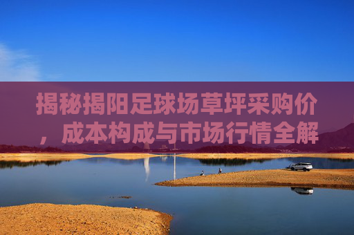 揭秘揭阳足球场草坪采购价,成本构成与市场行情全解析