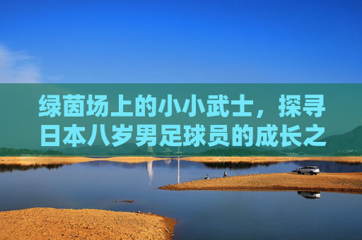 绿茵场上的小小武士,探寻日本八岁男足球员的成长之路
