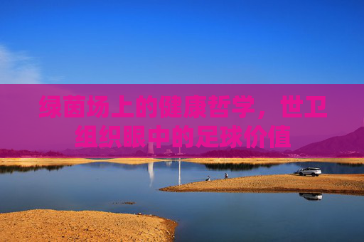 绿茵场上的健康哲学,世卫组织眼中的足球价值