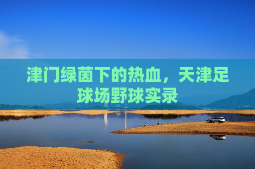 津门绿茵下的热血,天津足球场野球实录