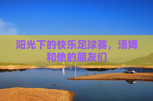 阳光下的快乐足球赛,汤姆和他的朋友们