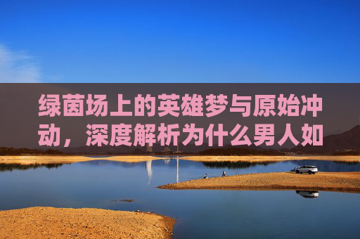 绿茵场上的英雄梦与原始冲动,深度解析为什么男人如此热爱足球