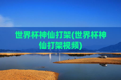 世界杯神仙打架(世界杯神仙打架视频)