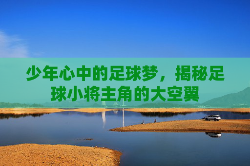 少年心中的足球梦,揭秘足球小将主角的大空翼