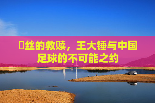 屌丝的救赎,王大锤与中国足球的不可能之约