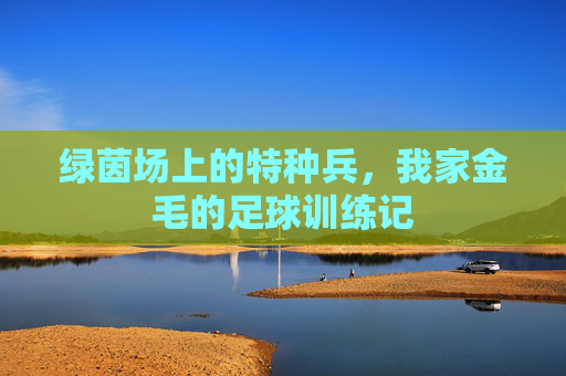绿茵场上的特种兵,我家金毛的足球训练记