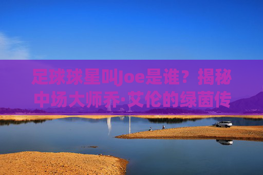 足球球星叫Joe是谁?揭秘中场大师乔·艾伦的绿茵传奇
