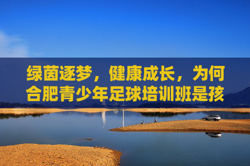 绿茵逐梦,健康成长,为何合肥青少年足球培训班是孩子成长的必修课