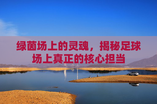 绿茵场上的灵魂,揭秘足球场上真正的核心担当