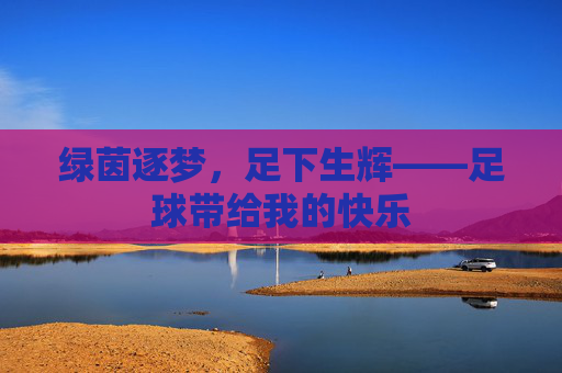 绿茵逐梦,足下生辉——足球带给我的快乐