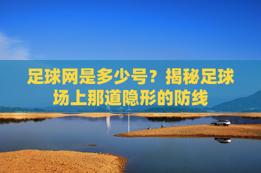 足球网是多少号?揭秘足球场上那道隐形的防线