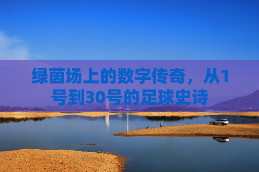 绿茵场上的数字传奇,从1号到30号的足球史诗