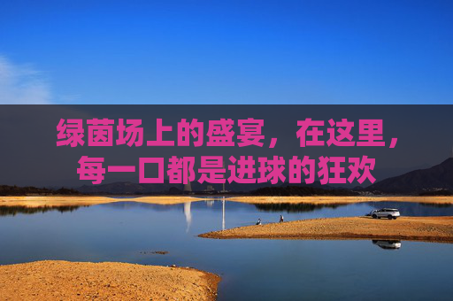 绿茵场上的盛宴,在这里,每一口都是进球的狂欢