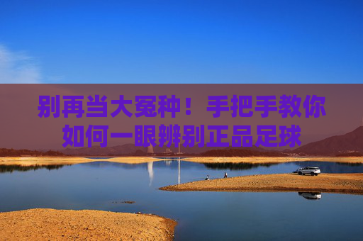 别再当大冤种！手把手教你如何一眼辨别正品足球