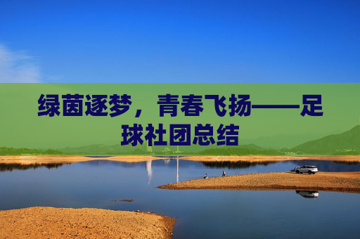 绿茵逐梦，青春飞扬——足球社团总结