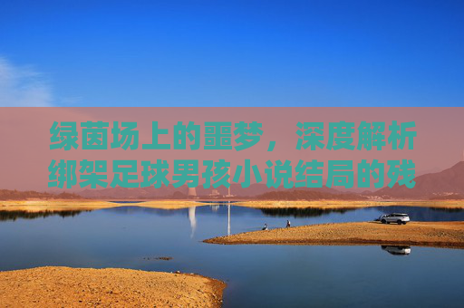 绿茵场上的噩梦,深度解析绑架足球男孩小说结局的残酷与救赎