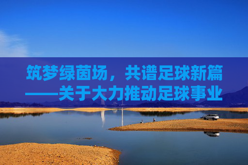 筑梦绿茵场，共谱足球新篇——关于大力推动足球事业发展的思考
