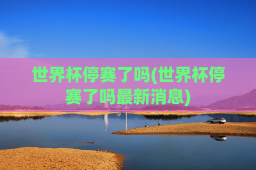 世界杯停赛了吗(世界杯停赛了吗最新消息)