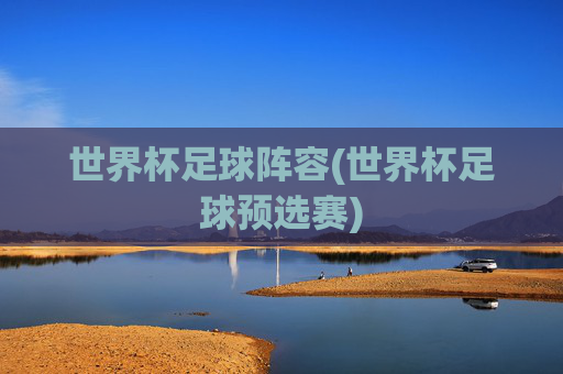 世界杯足球阵容(世界杯足球预选赛)
