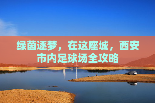 绿茵逐梦,在这座城,西安市内足球场全攻略