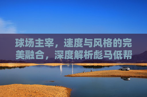 球场主宰,速度与风格的完美融合,深度解析彪马低帮足球鞋