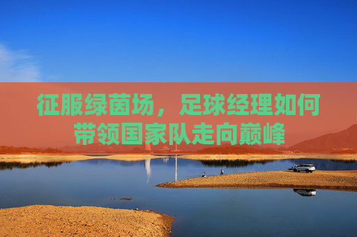 征服绿茵场,足球经理如何带领国家队走向巅峰