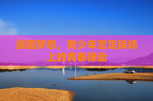 绿茵梦想，青少年宫足球场上的青春律动